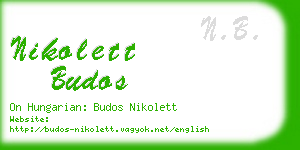 nikolett budos business card